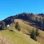 3-4 Stilvoll Im Gertrud Schloessli - Zentral Ruhig Apartmán St. Gallen