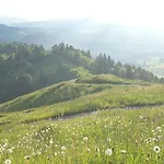 3-4 Stilvoll Im Gertrud Schloessli - Zentral Ruhig Apartmán *