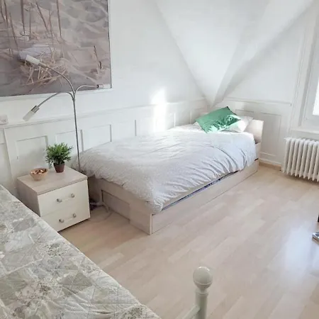 2-4 Stilvoll Im Gertrud Schlössli - Zentral Ruhig Apartment St. Gallen