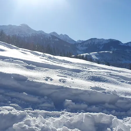 Διαμέρισμα 2-4 Stilvoll Im Gertrud Schloessli - Zentral Ruhig