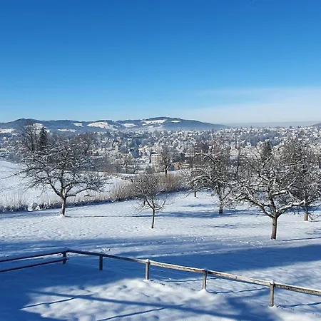 Stilvolle Im Gertrud Schloessli - Zentral Ruhig St. Gallen