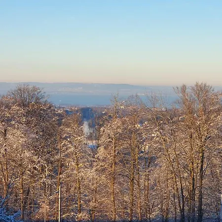 2-4 Stilvoll Im Gertrud Schloessli - Zentral Ruhig Apartment