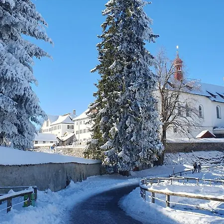 Διαμέρισμα 2-4 Stilvoll Im Gertrud Schloessli - Zentral Ruhig