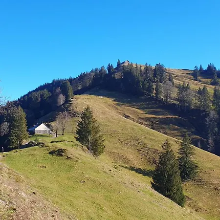 Stilvolle Im Gertrud Schloessli - Zentral Ruhig Διαμέρισμα St. Gallen