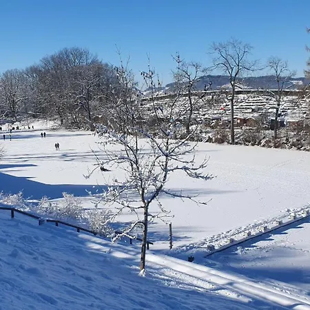 2-4 Stilvoll Im Gertrud Schloessli - Zentral Ruhig * St. Gallen