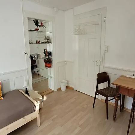 2-4 Stilvoll Im Gertrud Schlössli - Zentral Ruhig Apartment