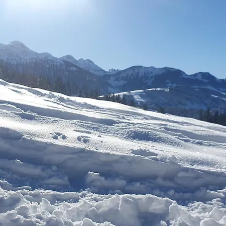 Apartment 2-4 Stilvoll Im Gertrud Schlössli - Zentral Ruhig *