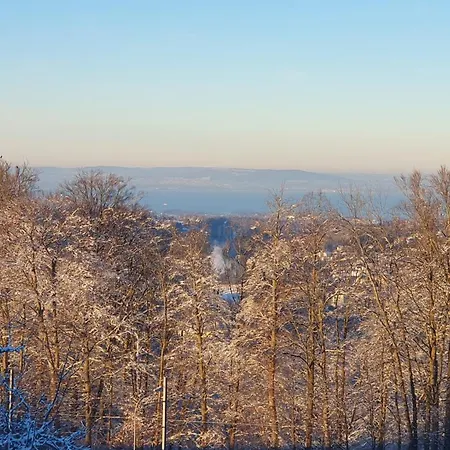 2-4 Stilvoll Im Gertrud Schloessli - Zentral Ruhig Διαμέρισμα St. Gallen