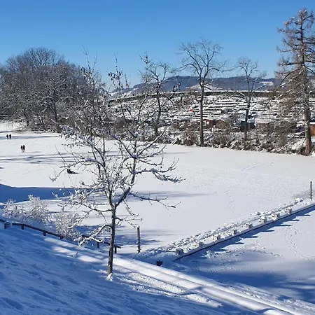 2-4 Stilvoll Im Gertrud Schlössli - Zentral Ruhig Apartment St. Gallen