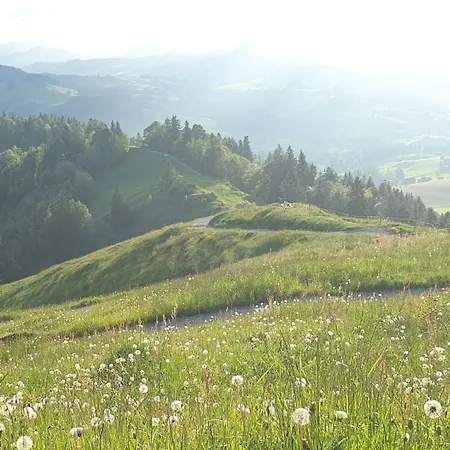 2-4 Stilvoll Im Gertrud Schlössli - Zentral Ruhig Apartment *