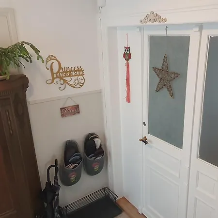 2-4 Stilvoll Im Gertrud Schloessli - Zentral Ruhig * St. Gallen