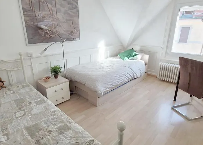 2-4 Stilvoll Im Gertrud Schloessli - Zentral Ruhig Daire St. Gallen