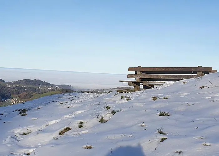 2-4 Stilvoll Im Gertrud Schloessli - Zentral Ruhig