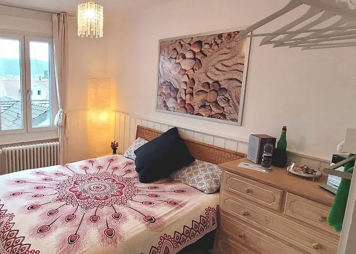 2-4 Stilvoll Im Gertrud Schloessli - Zentral Ruhig Appartement