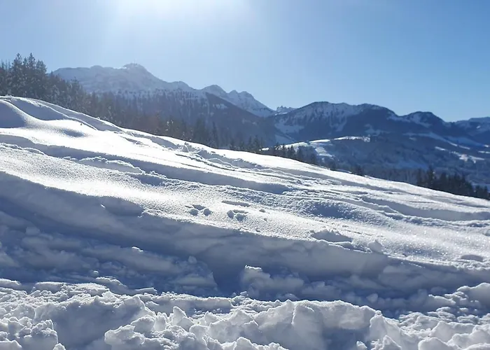 Appartement 2-4 Stilvoll Im Gertrud Schloessli - Zentral Ruhig