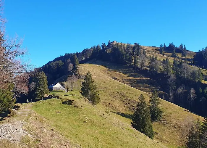2-4 Stilvoll Im Gertrud Schloessli - Zentral Ruhig Appartement Sankt Gallen