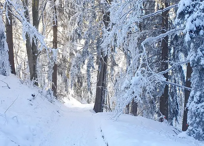 Appartement 2-4 Stilvoll Im Gertrud Schloessli - Zentral Ruhig *