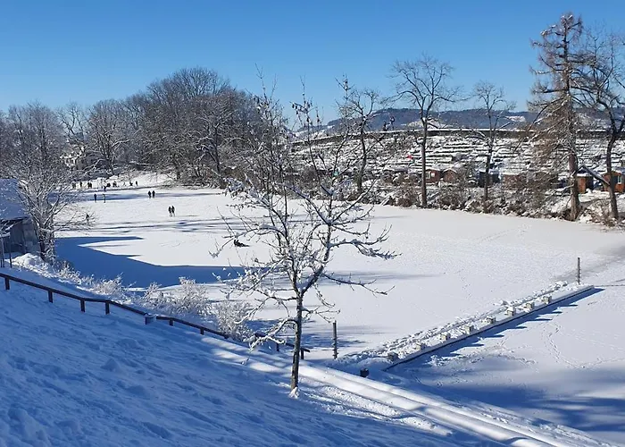 2-4 Stilvoll Im Gertrud Schloessli - Zentral Ruhig * Sankt Gallen