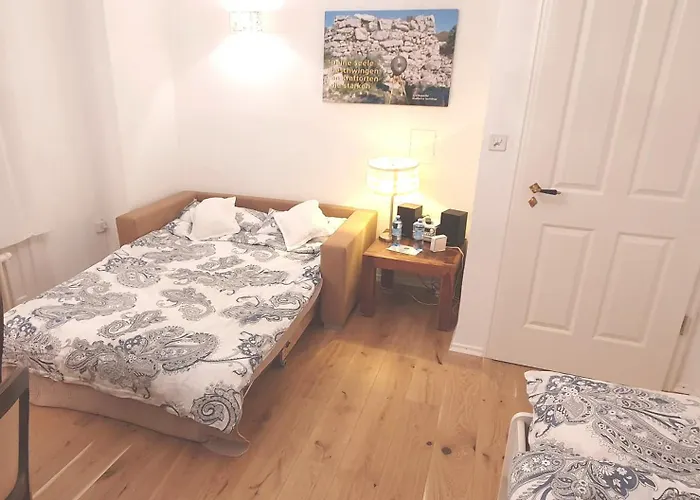 2-4 Stilvoll Im Gertrud Schloessli - Zentral Ruhig Sankt Gallen