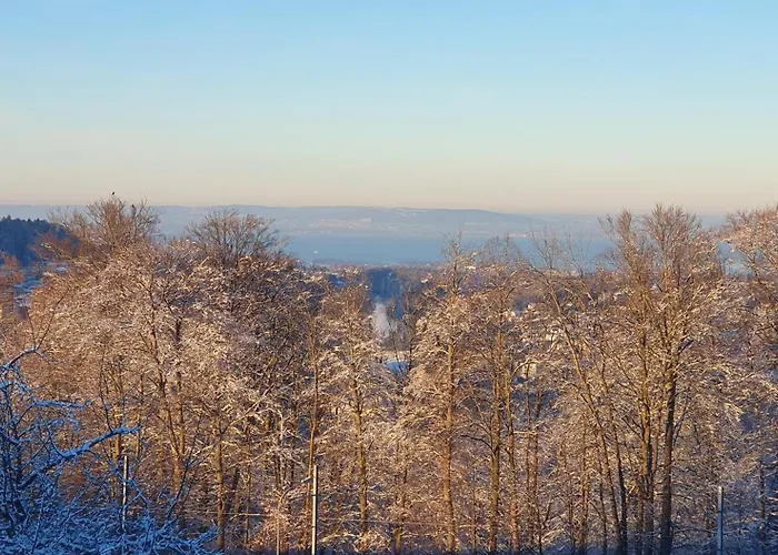 2-4 Stilvoll Im Gertrud Schloessli - Zentral Ruhig Daire St. Gallen
