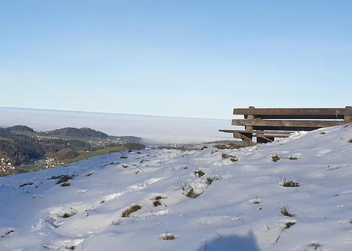 2-4 Stilvoll Im Gertrud Schloessli - Zentral Ruhig Apartamento St. Gallen
