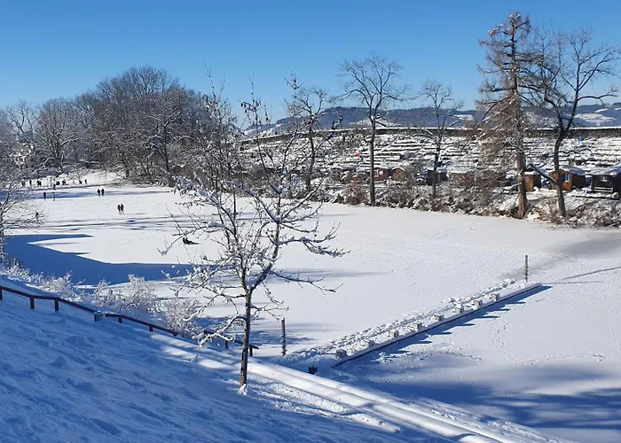 2-4 Stilvoll Im Gertrud Schloessli - Zentral Ruhig Daire St. Gallen