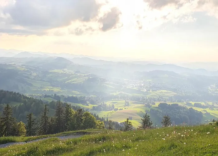 Daire 2-4 Stilvoll Im Gertrud Schloessli - Zentral Ruhig St. Gallen