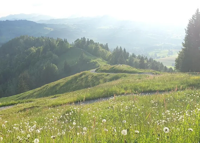 2-4 Stilvoll Im Gertrud Schloessli - Zentral Ruhig Daire *