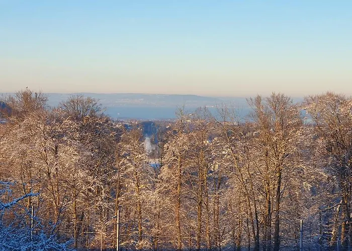 2-4 Stilvoll Im Gertrud Schloessli - Zentral Ruhig דירה