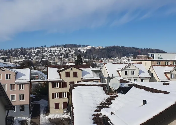 2-4 Stilvoll Im Gertrud Schloessli - Zentral Ruhig דירה סנט גאלן