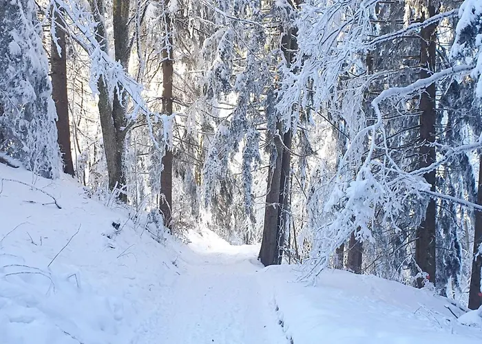 2-4 Stilvoll Im Gertrud Schloessli - Zentral Ruhig סנט גאלן